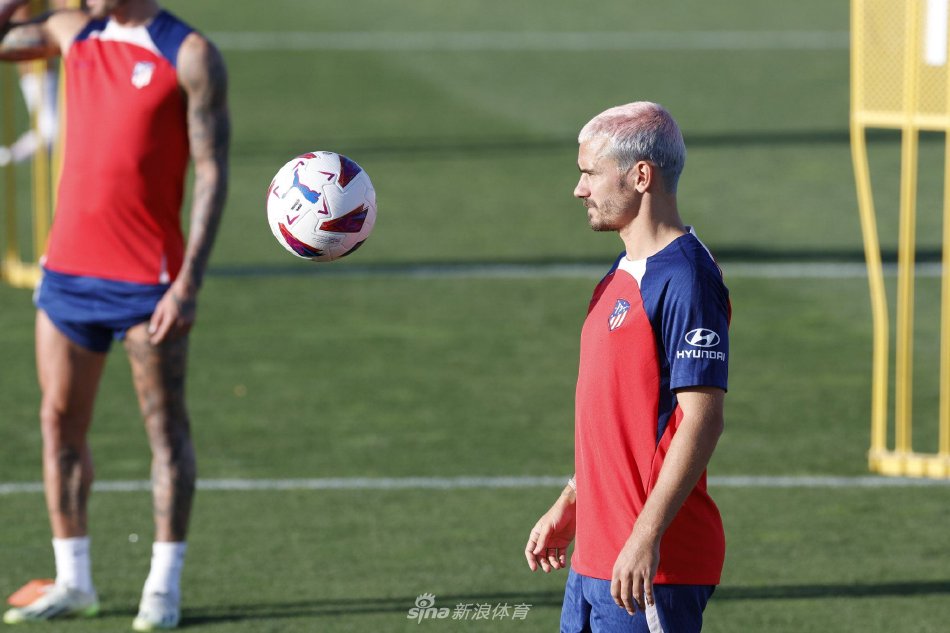 蛋白质摄入 蛋白质摄入